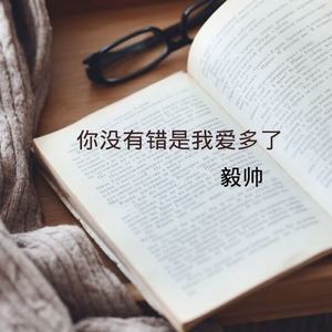 你没错是我爱多了