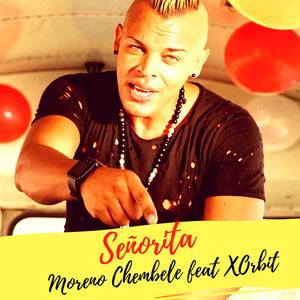 Señorita (feat. X.Orbit) (Dark Internsity Dub Mix)