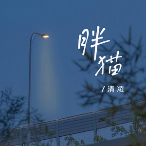 胖猫(纯爱战士)