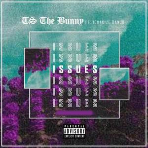 Issues (Explicit)