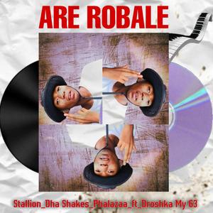Are Robale (feat. Stallion, Dha Shakes, Phalaza & Droshka My 63) (Lekompo)