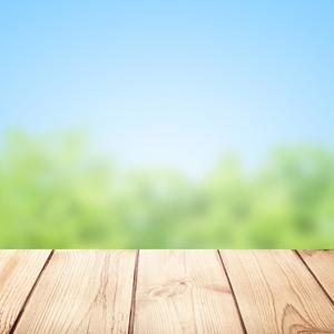 The Spectacular Bears