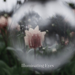 Illuminating Eyes