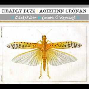 Deadly Buzz | Aoibhinn Crónán
