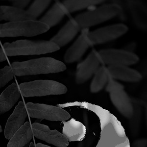 给我一个理由忘记