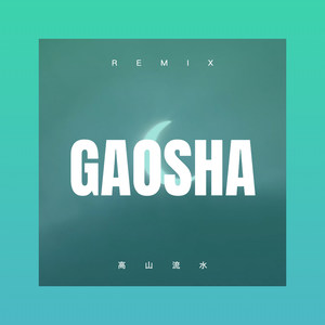 泪洒相思雨 (DJ版)