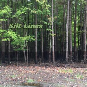 Silt Lines