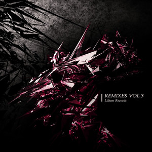 REMIXES VOL.3