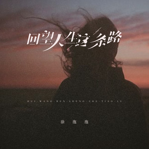 回望人生这条路