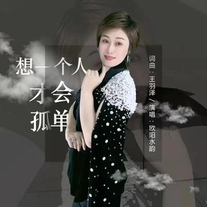 想一个人才会孤单 (DJ版伴奏)封面
