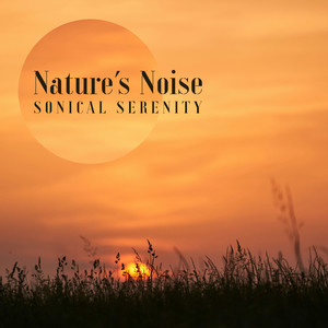 Nature's Noise