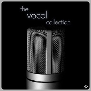 Heaven (Vocal 142 Bpm)