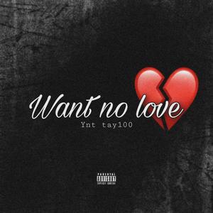 WANT NO LOVE (Explicit)