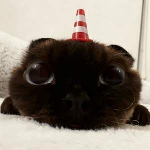 厌倦了吵架厌倦了迷人的谎话