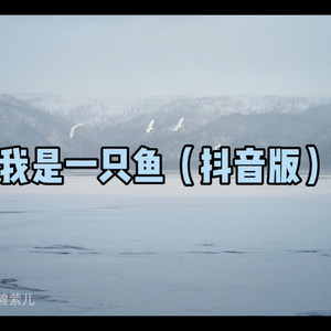 我是一只鱼