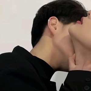 高质量 (DJ迷人磊、 remix)