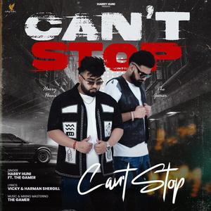 Can't Stop (feat. The Gamer)