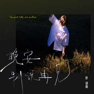 晚安别说再见