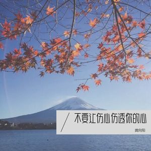 不要让伤心伤透了你的心