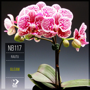 Gleam (Original Mix)