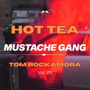 HOT TEA (Radio Edit)