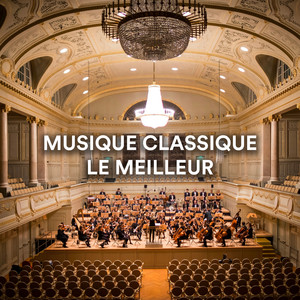포레: - Fauré: Elégie in C Minor, Op. 24 (Arr. Parkin for Cello Ensemble)