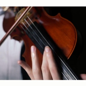 PPAP&江南皮革厂 (小提琴版)