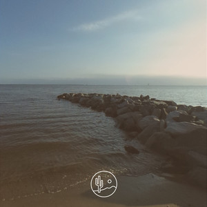 Radere - I Failed To Surprise Myself Again