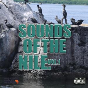 Sounds of the Nile I