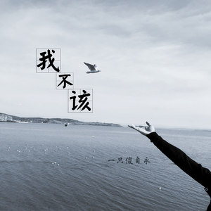 我不该