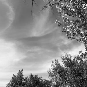 Life Goes On (Explicit)