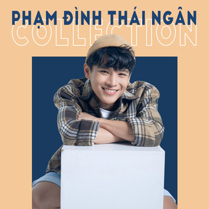 Phạm Đình Thái Ngân Collection