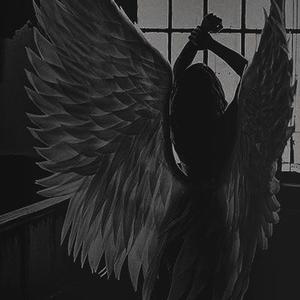 Butterfly doors (Explicit)