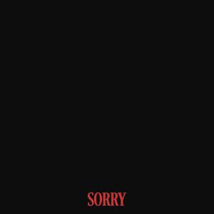 SORRY (feat. Vianni) (Explicit)