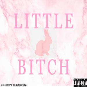 Little ***** (Explicit)