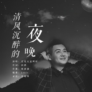 清风沉醉的夜晚
