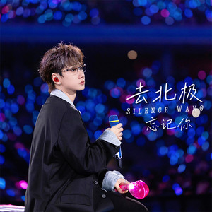 去北极忘记你(汪汪赶路日记)-Stella