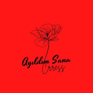 Ayıldım Sana