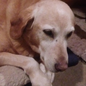 Facebook You Creepy (Explicit)