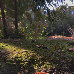 Stay Real (Explicit)