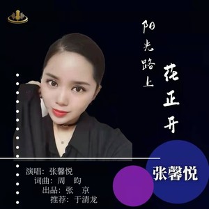 阳光路上花正开 (DJ何鹏版 Remix)