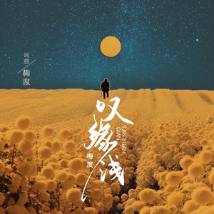 叹缘浅