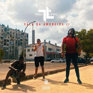 17 Só Quer Vrau (Remix)