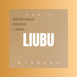逐梦天涯 (DJ咕咚版)