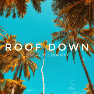 Roof Down (Explicit)