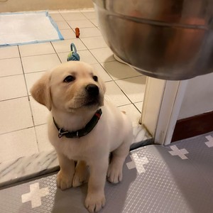 一无所有才最努力 (DJ版)