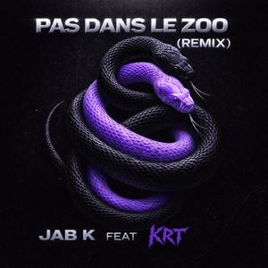 PAS DANS LE ZOO (feat. KRT) (REMIX|Explicit)
