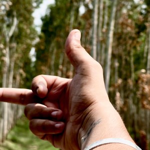 She don care (Explicit)