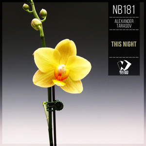 This Night (Original Mix)