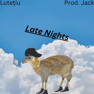 Late Nights (feat. Lutețiu)